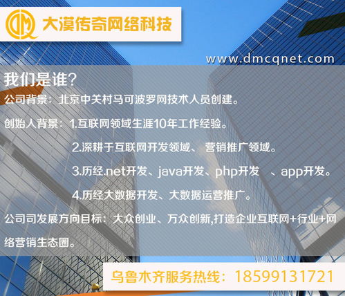 阿克蘇與烏魯木齊軟件開發(fā)及運行維護服務 技術賦能新疆數(shù)字化發(fā)展